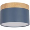 Накладной светильник LOFT IT GRAPE BLUE 10162 10162 Blue