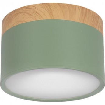 Накладной светильник LOFT IT GRAPE GREEN 10162