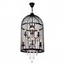 Подвесная люстра LOFT IT Vintage Birdcage LOFT1891/8