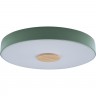 Подвесной светильник LOFT IT Axel 10003/24 Green