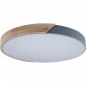 Подвесной светильник LOFT IT Axel 10004/36 Grey