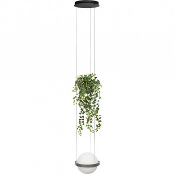 Подвесной светильник LOFT IT JARDIN 10121/1P Dark grey Подвесной светильник LOFT IT JARDIN 10121/1P Dark grey