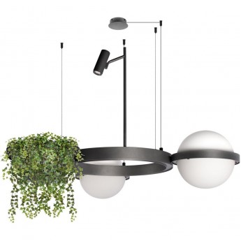 Подвесной светильник LOFT IT JARDIN 10121/2 Dark grey Подвесной светильник LOFT IT JARDIN 10121/2 Dark grey