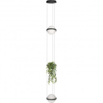Подвесной светильник LOFT IT JARDIN 10121/2P Dark grey Подвесной светильник LOFT IT JARDIN 10121/2P Dark grey