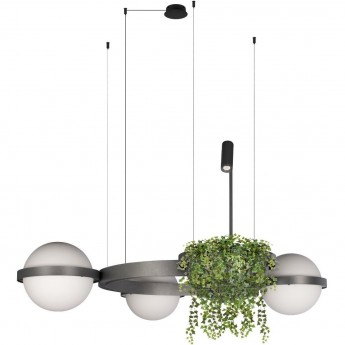 Подвесной светильник LOFT IT JARDIN 10121/3 Dark grey Подвесной светильник LOFT IT JARDIN 10121/3 Dark grey