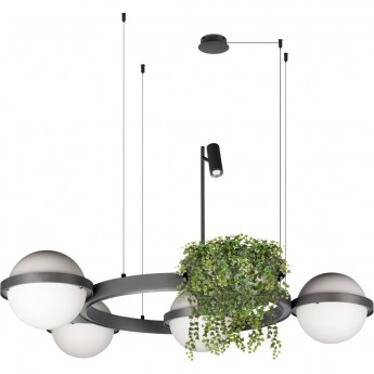 Подвесной светильник LOFT IT JARDIN 10121/4 Dark grey Подвесной светильник LOFT IT JARDIN 10121/4 Dark grey