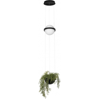 Подвесной светильник LOFT IT JARDIN 10121/B Подвесной светильник LOFT IT JARDIN 10121/B
