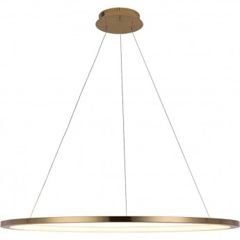 Подвесной светильник LOFT IT Ring 10014XL Подвесной светильник LOFT IT Ring 10014XL