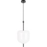 Подвесной светильник LOFT IT VENICE 10223/D White