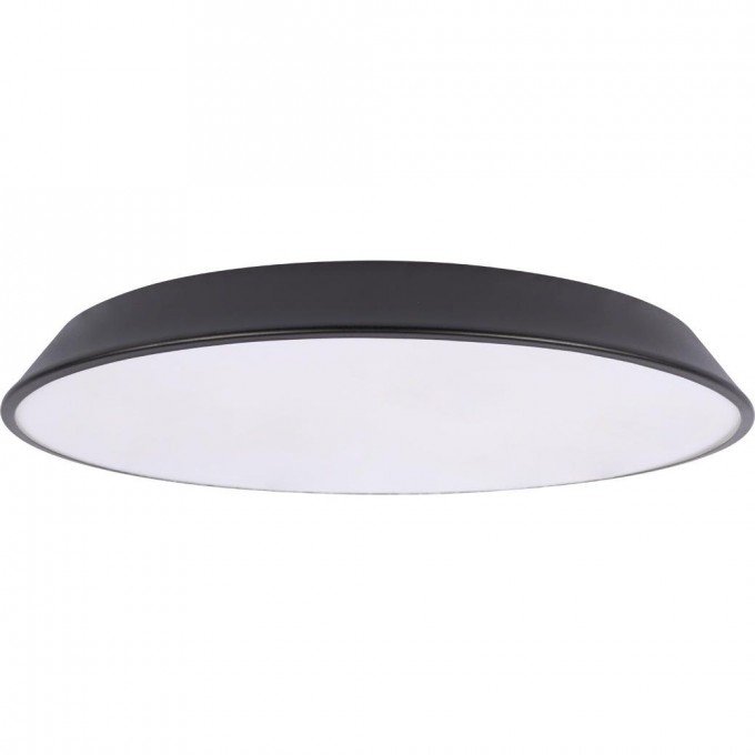 Потолочный светильник LOFT IT BRIM 10226 Black