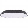 Потолочный светильник LOFT IT BRIM 10226 Black