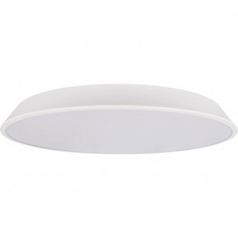 Потолочный светильник LOFT IT BRIM 10226 White