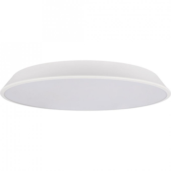 Потолочный светильник LOFT IT BRIM 10226 White