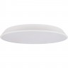 Потолочный светильник LOFT IT BRIM 10226 White