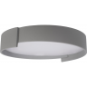 Потолочный светильник LOFT IT COIN GREY 10200 10200 Grey