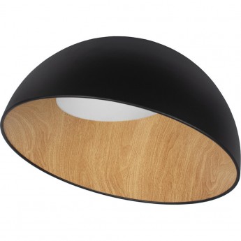 Потолочный светильник LOFT IT EGG BLACK 10197/500