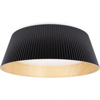 Потолочный светильник LOFT IT EVANS 10224 Black