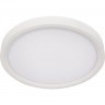 Потолочный светильник LOFT IT EXTRASLIM 10227/24 White