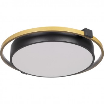 Потолочный светильник LOFT IT MIKE 10170 Потолочный светильник LOFT IT MIKE 10170