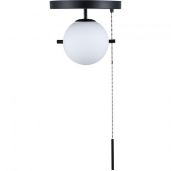 Потолочный светильник LOFT IT Signal 10029C Black