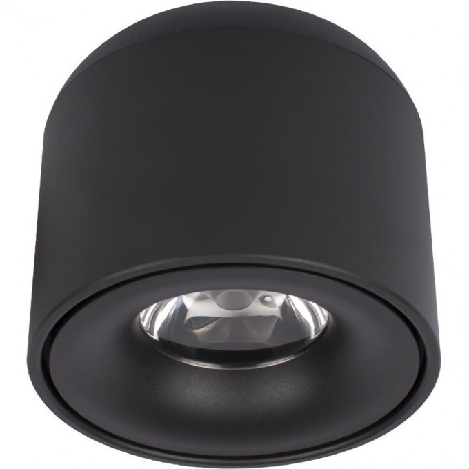 Потолочный светильник LOFT IT TICTAC 10219 Black 3000K