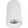 Потолочный светильник LOFT IT TICTAC 10220 White 3000K